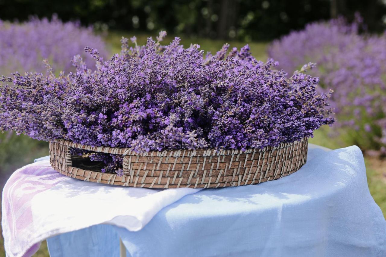 Lavender Village Kiemeliai Dış mekan fotoğraf