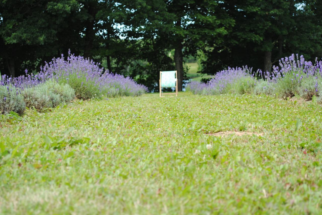 Lavender Village Kiemeliai Dış mekan fotoğraf