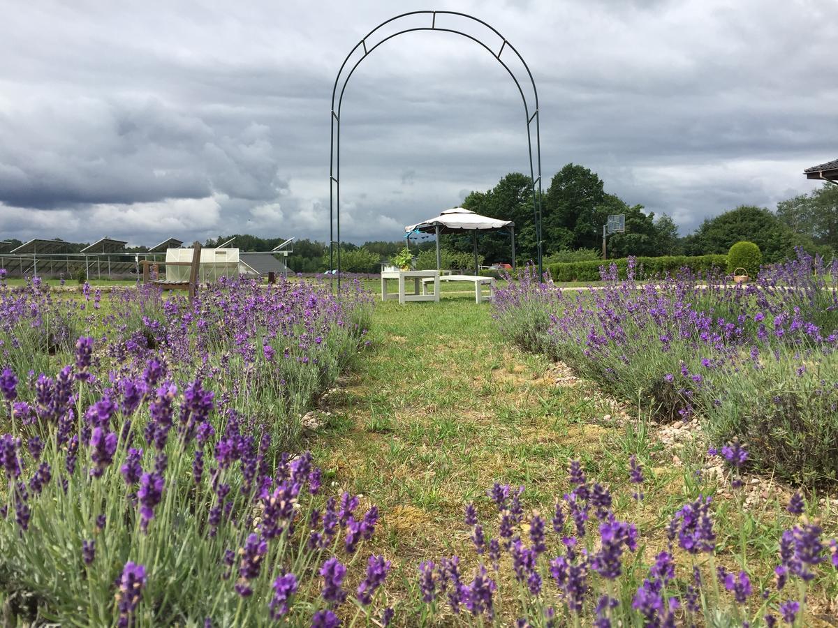 Lavender Village Kiemeliai Dış mekan fotoğraf