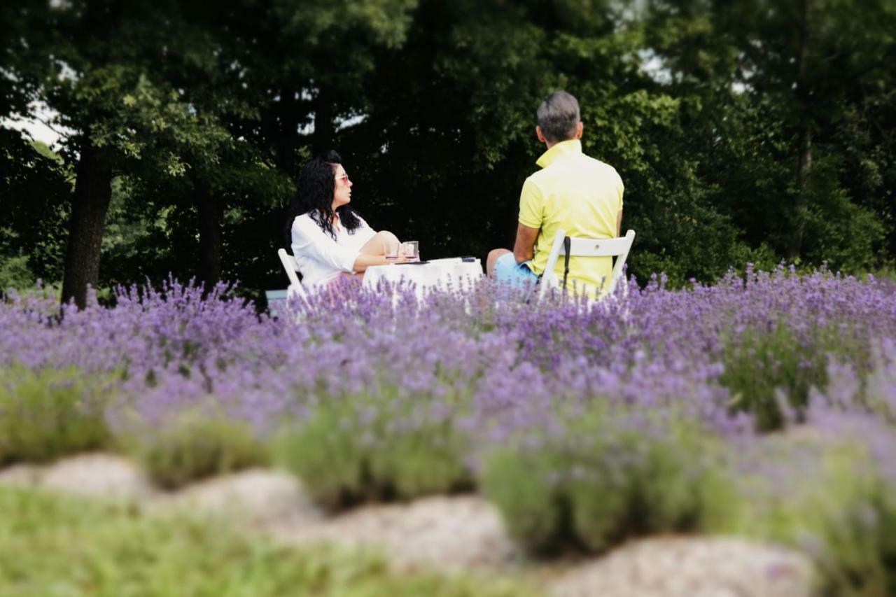 Lavender Village Kiemeliai Dış mekan fotoğraf